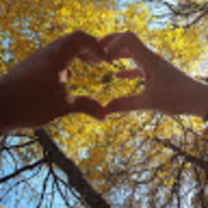 Meet your Posher, Bringador